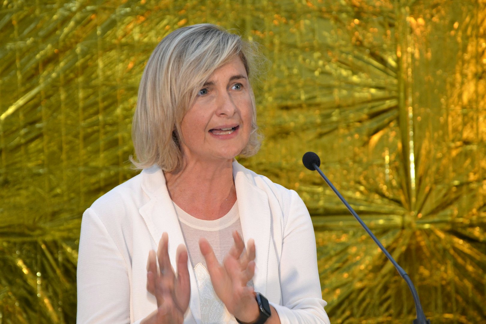Hilde Crevits