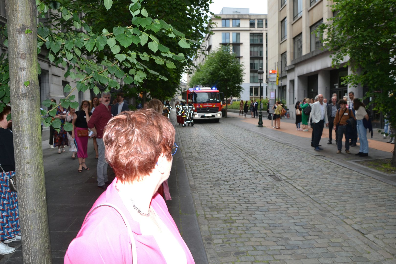 dsc_0158.jpg